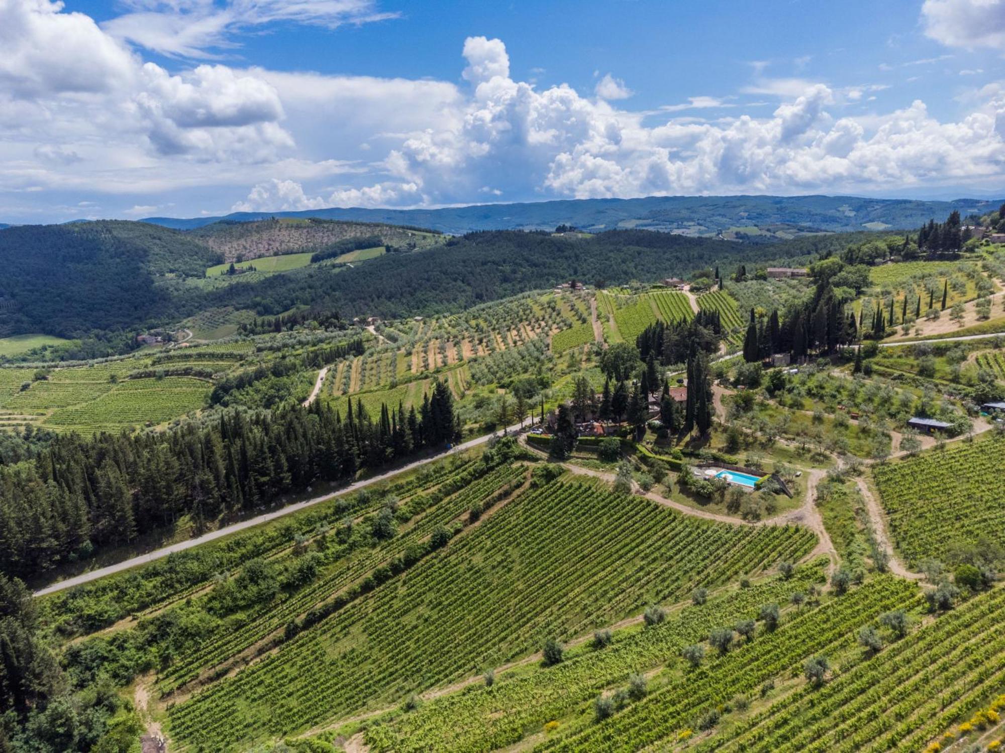 Holiday Home San Rocco-1 By Interhome Греве-ин-Кьянти Экстерьер фото